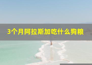 3个月阿拉斯加吃什么狗粮