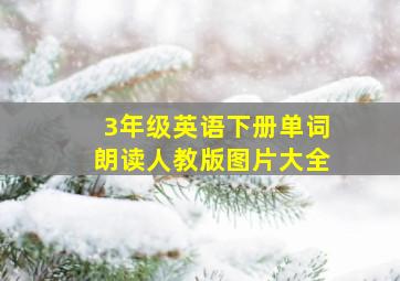 3年级英语下册单词朗读人教版图片大全