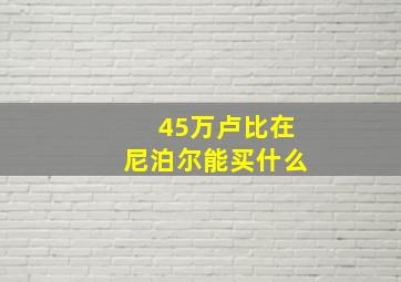 45万卢比在尼泊尔能买什么