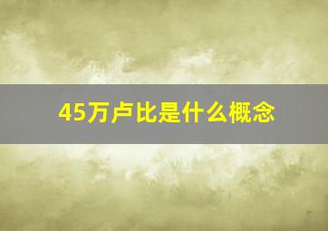 45万卢比是什么概念