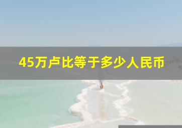 45万卢比等于多少人民币