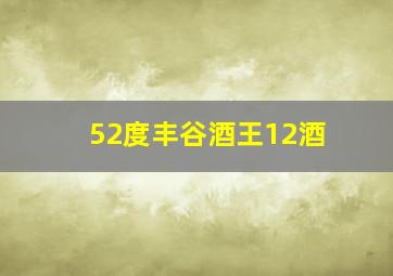 52度丰谷酒王12酒