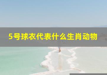 5号球衣代表什么生肖动物