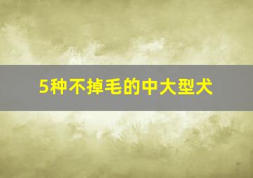 5种不掉毛的中大型犬