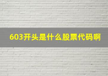 603开头是什么股票代码啊