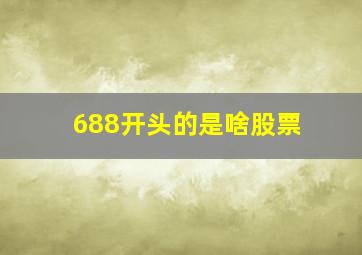 688开头的是啥股票