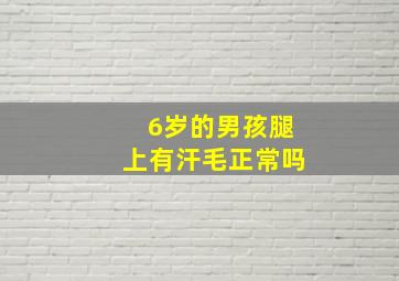 6岁的男孩腿上有汗毛正常吗