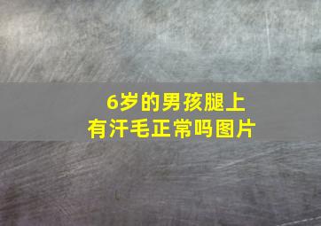 6岁的男孩腿上有汗毛正常吗图片