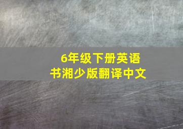 6年级下册英语书湘少版翻译中文