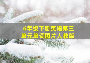 6年级下册英语第三单元单词图片人教版