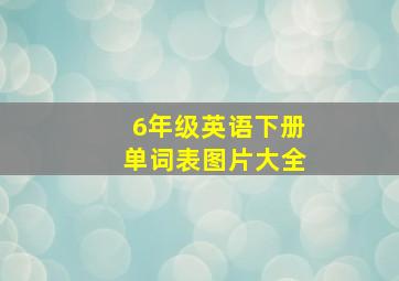 6年级英语下册单词表图片大全