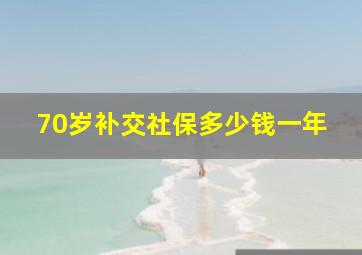 70岁补交社保多少钱一年