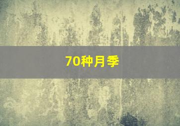 70种月季