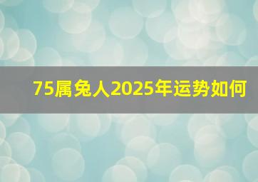 75属兔人2025年运势如何