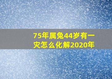 75年属兔44岁有一灾怎么化解2020年