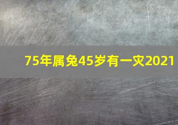 75年属兔45岁有一灾2021