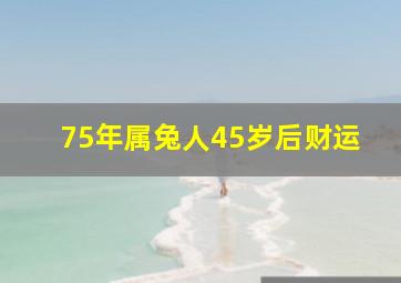 75年属兔人45岁后财运