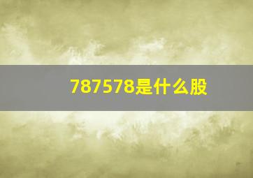 787578是什么股