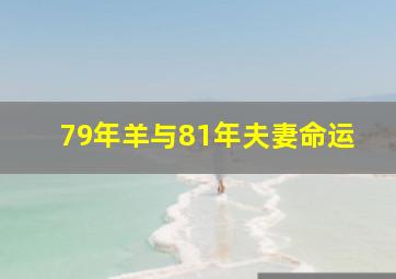 79年羊与81年夫妻命运