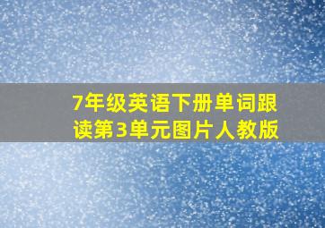 7年级英语下册单词跟读第3单元图片人教版