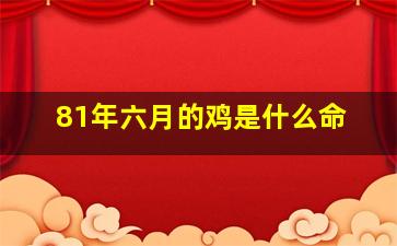 81年六月的鸡是什么命