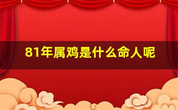 81年属鸡是什么命人呢