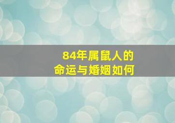 84年属鼠人的命运与婚姻如何