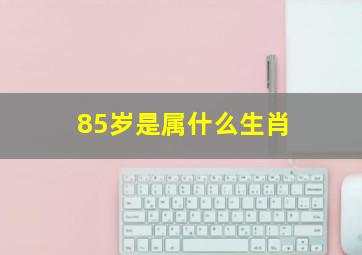 85岁是属什么生肖