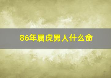 86年属虎男人什么命