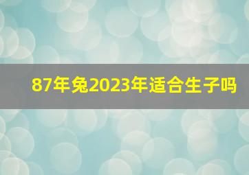 87年兔2023年适合生子吗