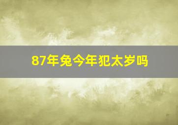 87年兔今年犯太岁吗