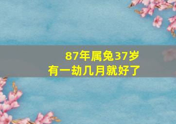 87年属兔37岁有一劫几月就好了