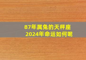 87年属兔的天秤座2024年命运如何呢