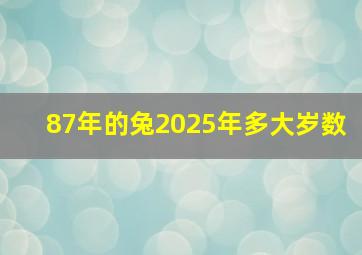 87年的兔2025年多大岁数