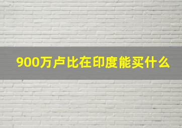 900万卢比在印度能买什么