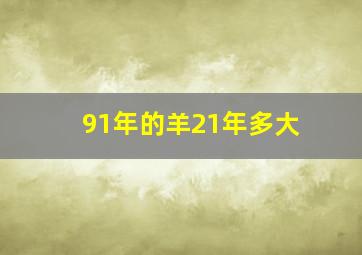 91年的羊21年多大