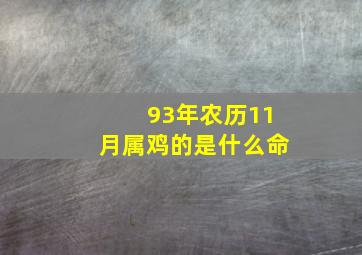 93年农历11月属鸡的是什么命