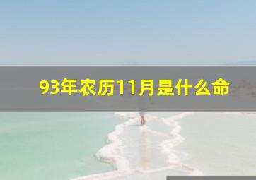 93年农历11月是什么命