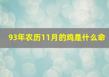 93年农历11月的鸡是什么命