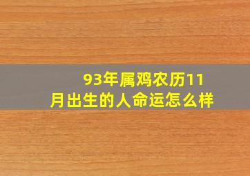 93年属鸡农历11月出生的人命运怎么样