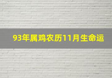 93年属鸡农历11月生命运