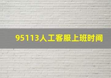 95113人工客服上班时间