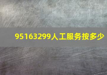 95163299人工服务按多少