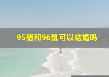 95猪和96鼠可以结婚吗