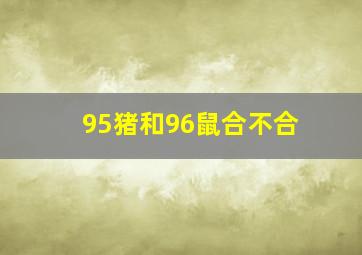 95猪和96鼠合不合