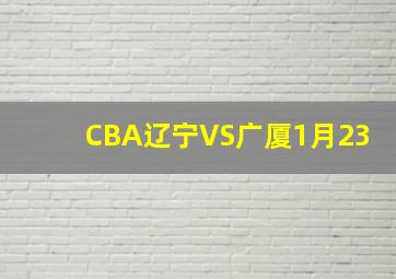 CBA辽宁VS广厦1月23