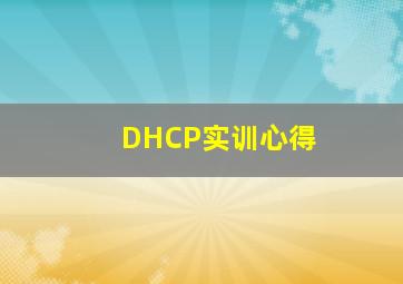 DHCP实训心得