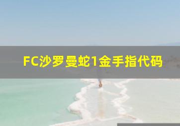 FC沙罗曼蛇1金手指代码