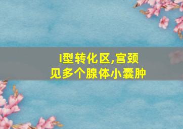 I型转化区,宫颈见多个腺体小囊肿