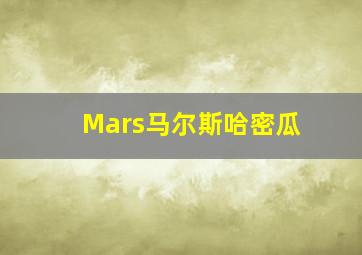 Mars马尔斯哈密瓜